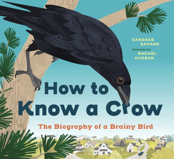 How To Know A Crow: The Biography Of A Brainy Bird