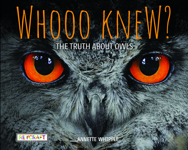 Whooo Knew? The Truth About Owls