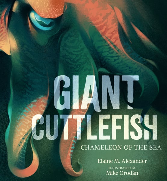 Giant Cuttlefish: Chameleon of the Sea