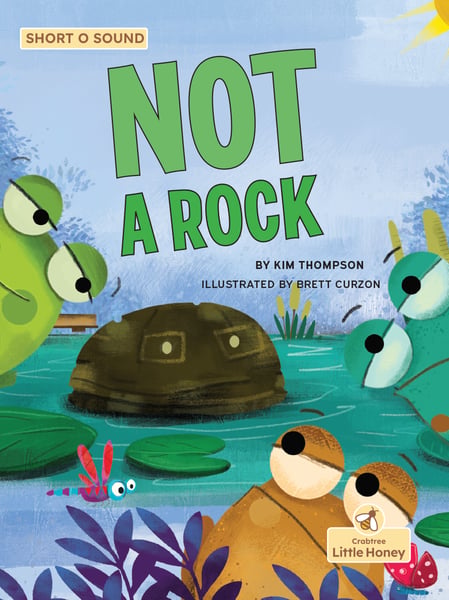 NOT A Rock