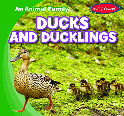 Ducks And Ducklings