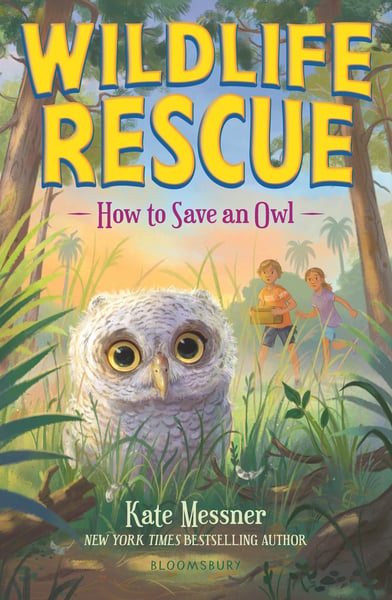 How To Save An Owl