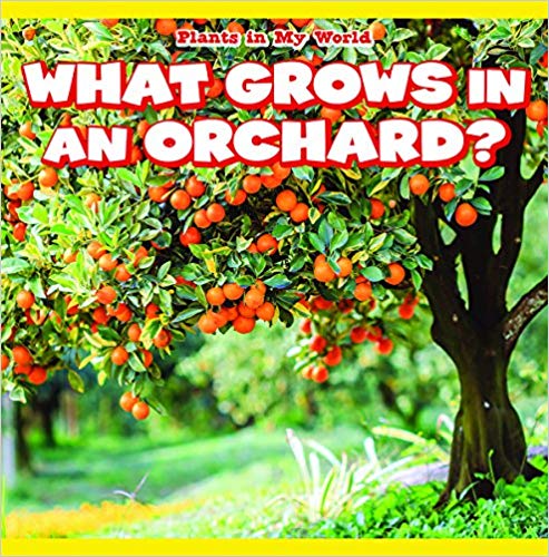 What Grows In An Orchard?