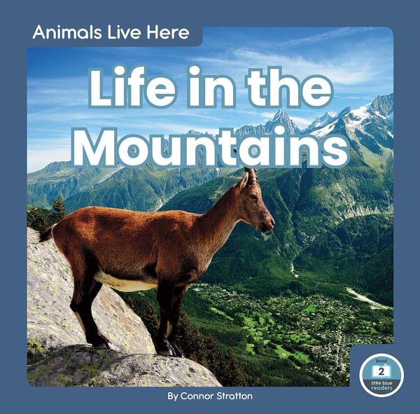 Life In The Mountains