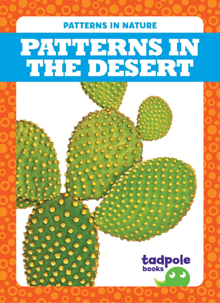 Patterns In The Desert