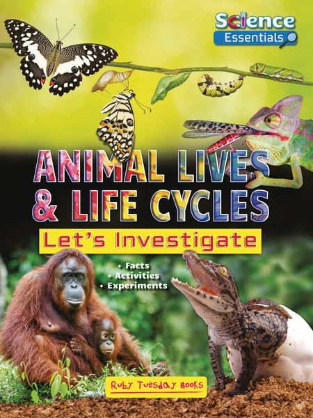 Animal Lives And Life Cycles: Let's Investigate