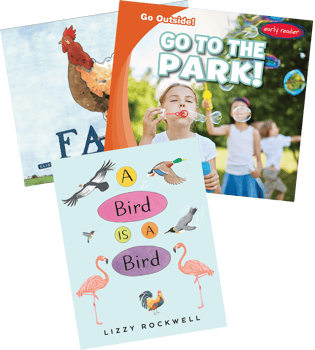 Phonics R-controlled Vowels