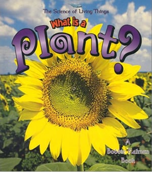 What Is A Plant?