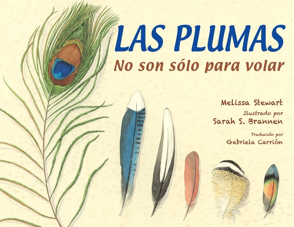 Las Plumas No Son Solo Para Volar (Feathers: Not Just For Flying)