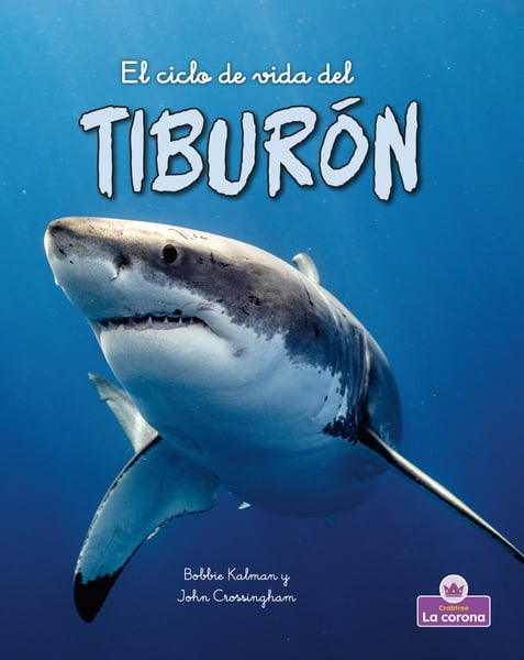 El Ciclo De Vida Del Tiburon (The Life Cycle Of A Shark)