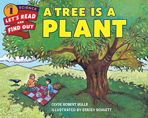 Tree Is A Plant, A