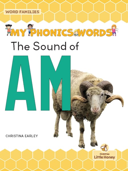 Sound Of AM, The