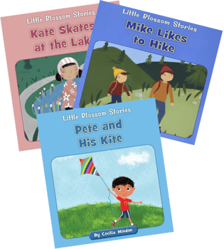 LETRS Silent E Syllables