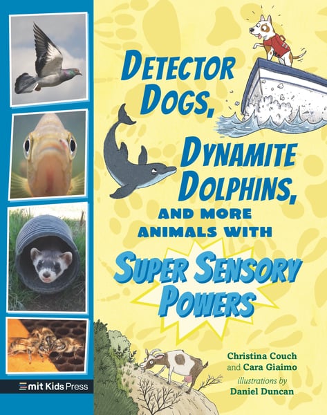 Detector Dogs, Dynamite Dolphins, And More Animals With Super Sensory Powers
