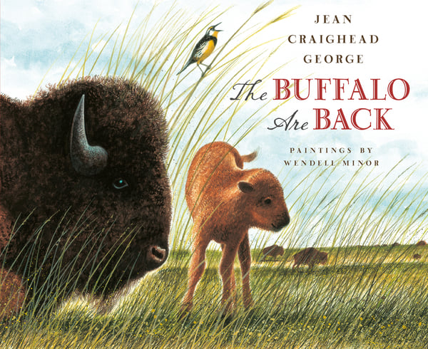 Buffalo Are Back, The