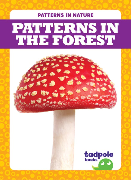 Patterns In The Forest