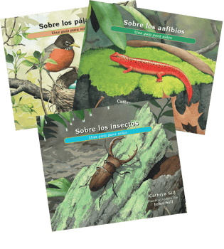 About... Series (Spanish), The