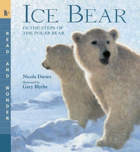 Ice Bear: In The Steps Of The Polar Bear