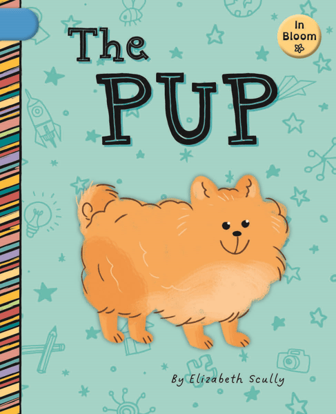 Pup, The