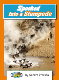 Spooked Into A Stampede