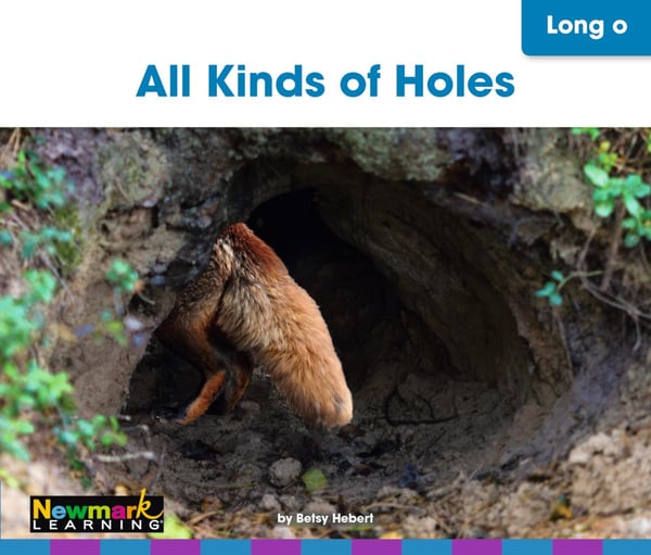 All Kinds of Holes