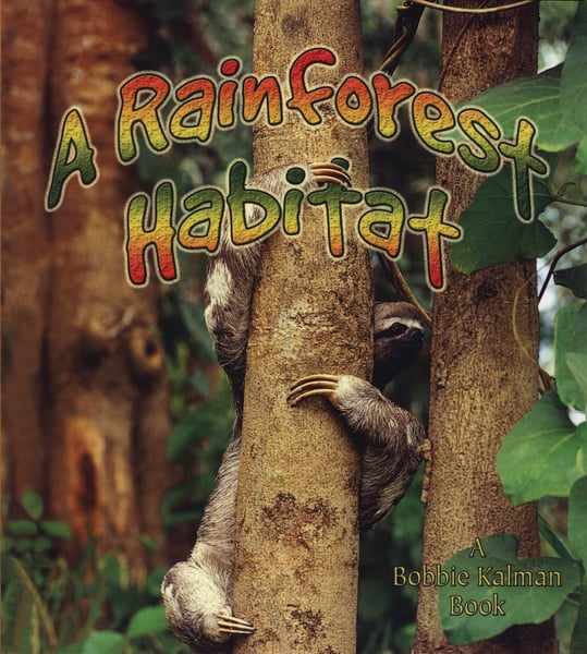 Rainforest Habitat, A