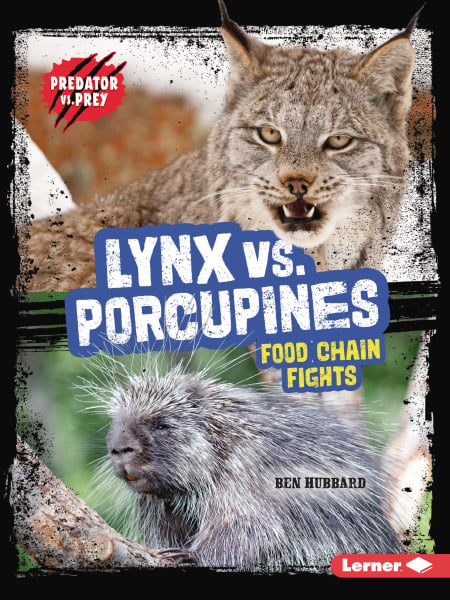 Lynx Vs. Porcupines: Food Chain Fights