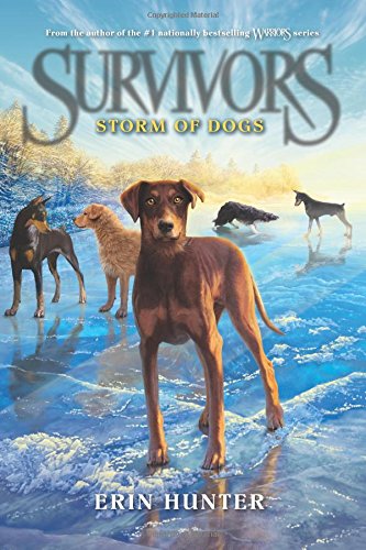 Storm Of Dogs