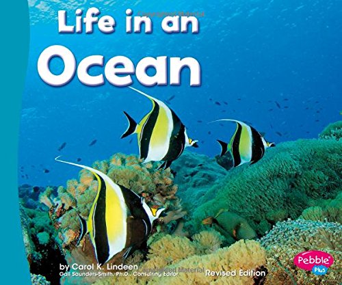 Life In An Ocean