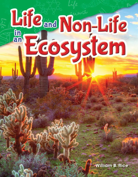Life And Non-Life In An Ecosystem