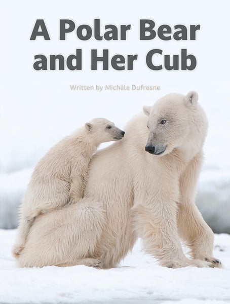 Polar Bear And Her Cub, A