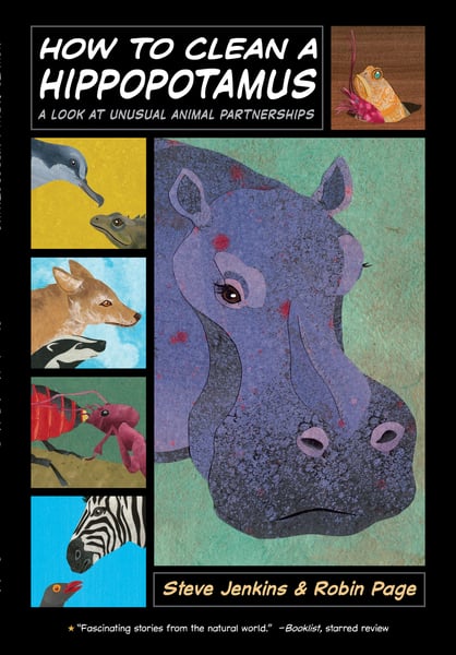 How To Clean A Hippopotamus: A Look At Unusual Animal Partnerships