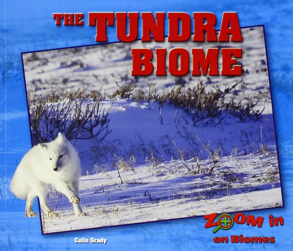 Tundra Biome, The