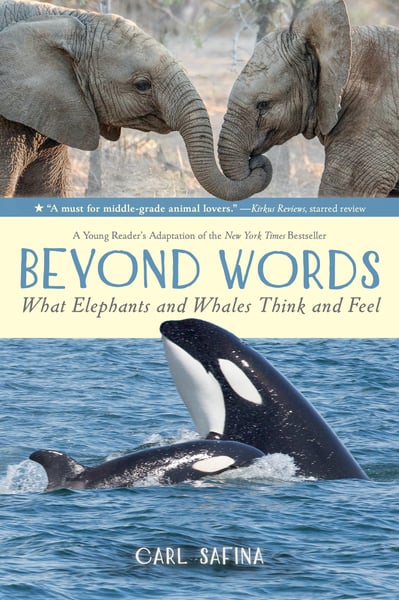 Beyond Words: What Elephants And Whales Think And Feel (Young Readers Edition)