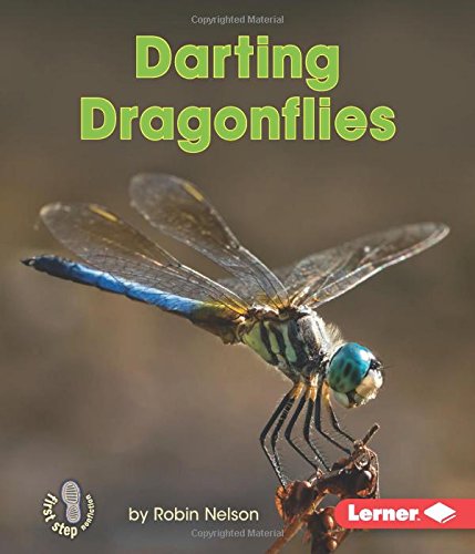 Darting Dragonflies