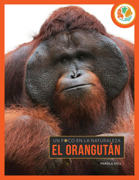 El Orangutan (Orangutan)