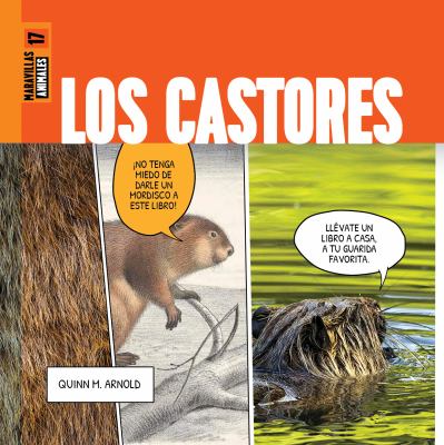 Los Castores (Beavers)