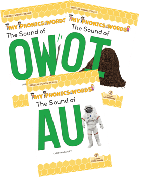 My Phonics Words: Special Vowel Teams