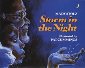 Storm In The Night