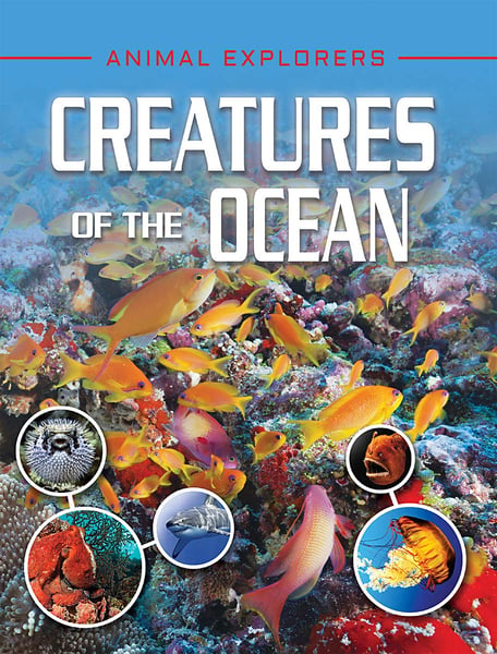 Creatures Of The Ocean