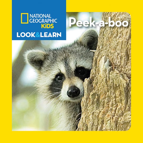 Peek-A-Boo (Board Book)