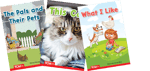 Decodable Books: Read & Succeed Kindergarten