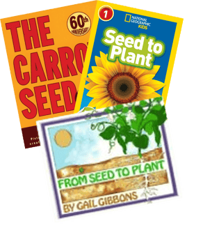 Aligned To Into Reading Grade 2 Module 8 Time To Grow!