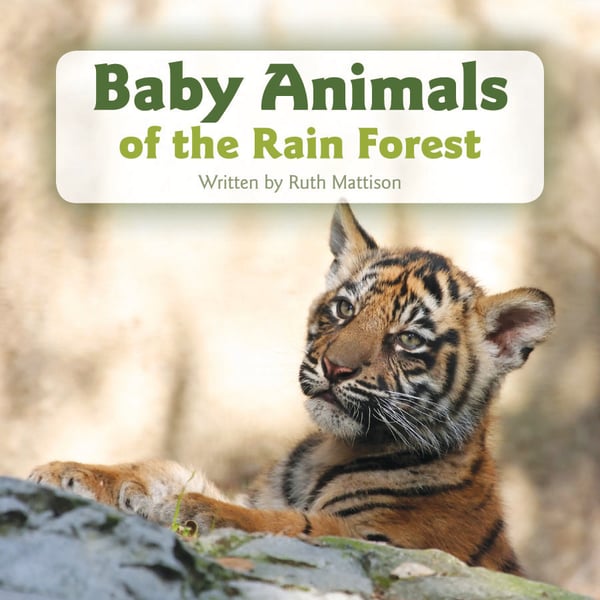 Baby Animals Of The Rain Forest