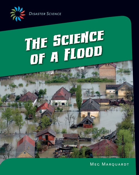 Science Of A Flood, The