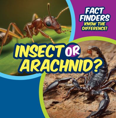 Insect Or Arachnid?