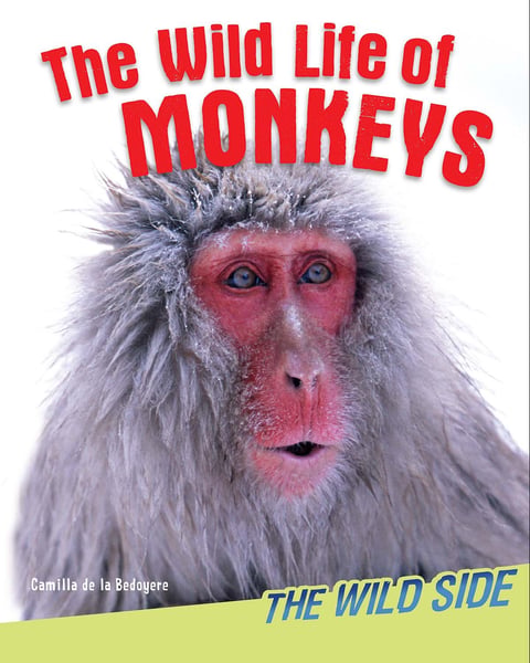 Wild Life Of Monkeys, The
