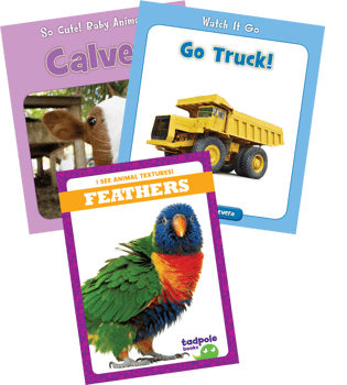 High/Low Nonfiction Grade 1