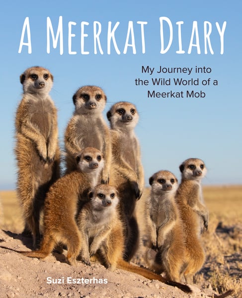 Meerkat Diary: My Journey Into The Wild World Of A Meerkat Mob, A