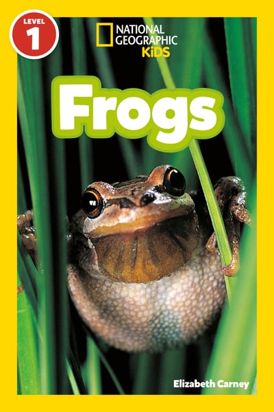 Frogs!